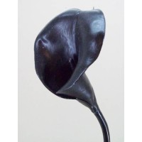 Black Flowers