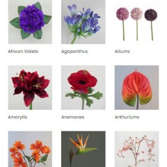 Artificial Flowers | Silk Flowers | Faux Flowers