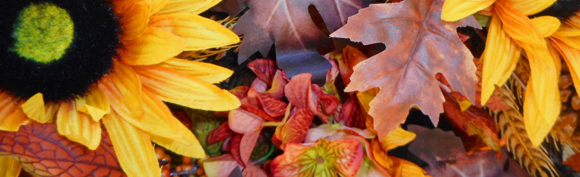 Autumn Flowers and Leaves Collection 2025