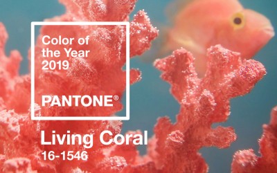 Wedding Online | Moodboards | Pantone Colour of the Year 2019 ~ Living Coral