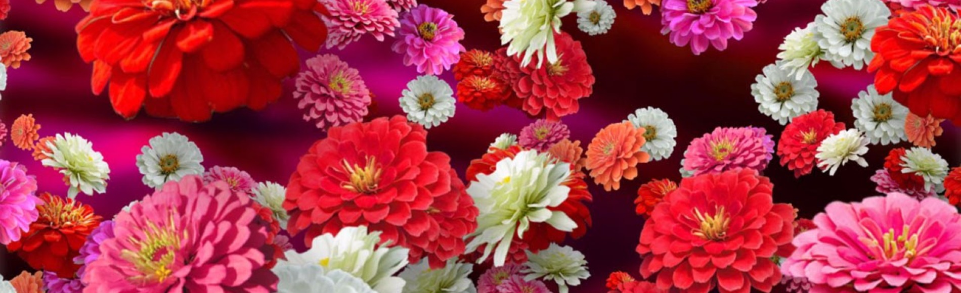 Silk Flowers Decoflora Artificial Flowers UK