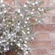 Glitter Mistletoe Spray 60cm - X23028