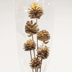 Gold Pine Cones on Sticks Pack of 6 - X25040