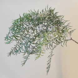 Snowy Christmas Cedar Asparagus Trailing - X21061