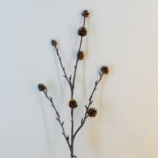 Pine Cone Branch Gold - 18X250