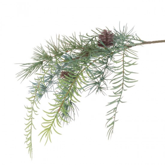 Christmas Cedar Asparagus Trailing - X21047 