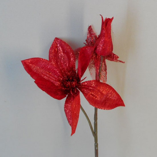 Clematis Red Sparkle Short Stem - 17X112