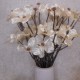 Pearl Dogwood Spray Cream 50cm - X23006 BAY4B