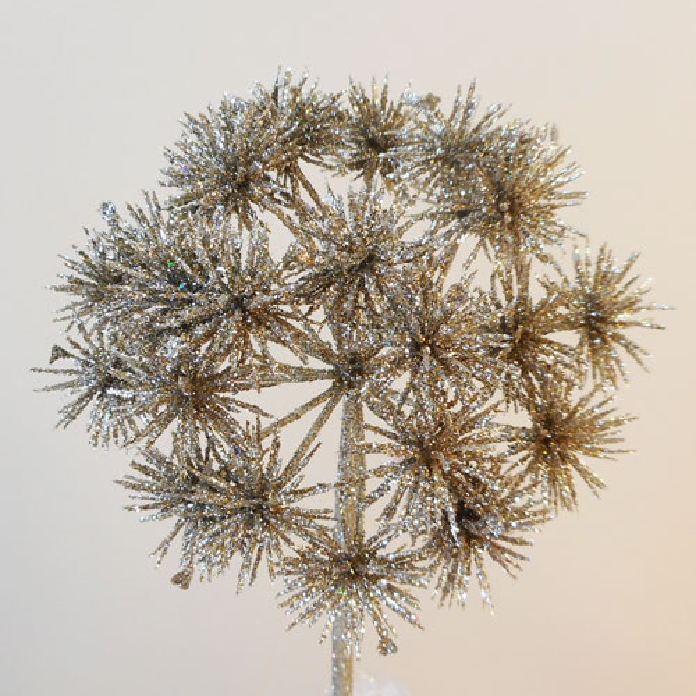 Starburst Allium Champagne Gold | Christmas Flowers