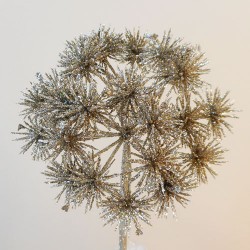 Starburst Allium Champagne Gold Christmas Flowers - 17X101 