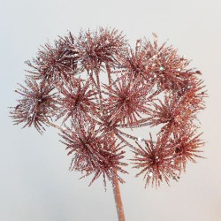 Starburst Allium Rose Gold Christmas Flowers - 17X102 