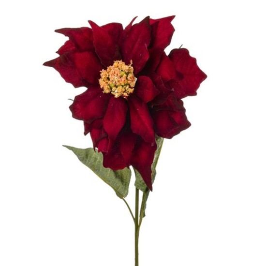 Classic Christmas Poinsettias Red Velvet - X19004 BAY2C