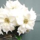 64cm Cream Velvet Poinsettia - X22011 