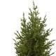 Small Christmas Fir Tree in Wood Log 38cm - X24034 BAY3C