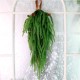 Real Touch Norfolk Pine Teardrop Swag 63cm - X25033 Real Touch Norfolk Pine Teardrop Swag 63cm - X25033
