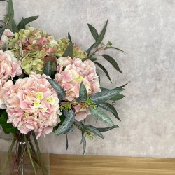 CLARENCE | HYDRANGEAS EUCALYPTUS