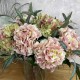 CLARENCE | HYDRANGEAS EUCALYPTUS