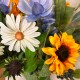 MELODY | SUNFLOWERS BOUQUET MELODY | SUNFLOWERS BOUQUET