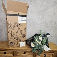 DECOFLORA DESIGNS DECOFLORA DESIGNS