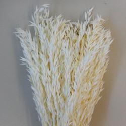 Dried Avena Oats Bleached - DRI023A