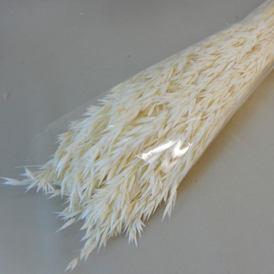 Dried Avena Oats Bleached - DRI023