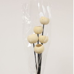Dried Bell Cups Bunch - DRI032 HH3