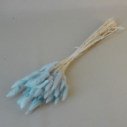 Dried Bunny Tails Powder Blue - DRI017 HH2