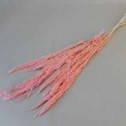Dried Pampas Grass Pink 75cm - DRI018 HH2