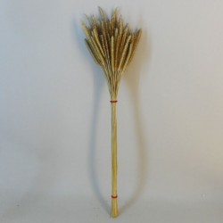 Dried Soft Pencil Grass Natural - DRI027 HH2