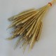 Dried Soft Pencil Grass Natural - DRI027 HH2