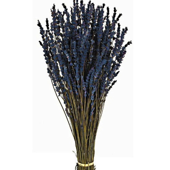 Preserved Lavender Blue 150g - DRI012 HH4