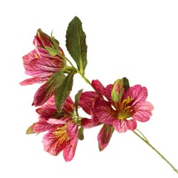 Eco Peruvian Lily Pink 61cm - L063