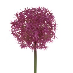 Eco Large Artificial Allium Pink Globemaster 76cm - A034 KK2