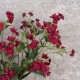 Eco Artificial Astrantia Burgundy 77cm - A084 Q2