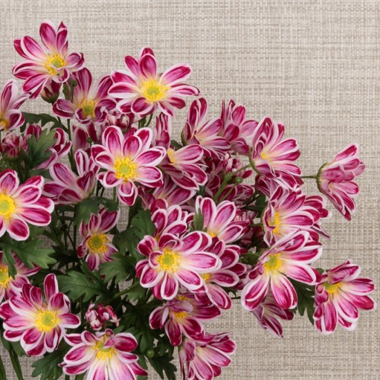 Eco Artificial African Daisy Stem Pink 66cm - D073 E4