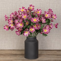 Eco Artificial African Daisy Stem Pink 66cm - D073 E4