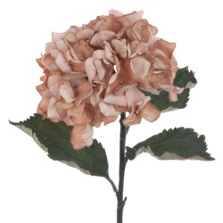 Eco Artificial Hydrangea Cappuccino 60cm - H120 LL2