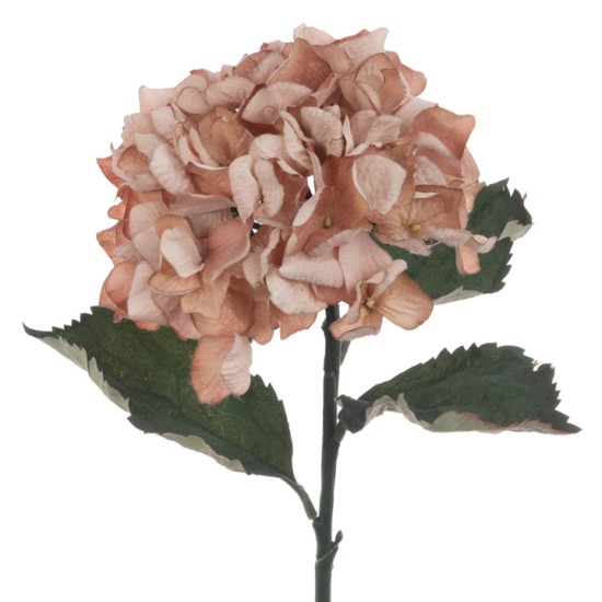 Eco Artificial Hydrangea Cappuccino 60cm - H120 LL2