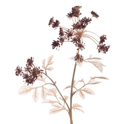 Eco Artificial Queen Anne's Lace Burgundy 74cm - Q005 LL1