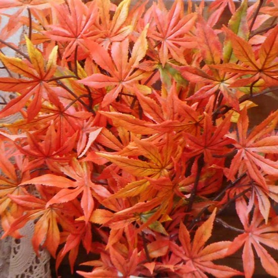 Artificial Japanese Maple Leaves Branch Autumn 100cm - MAP025 DD3