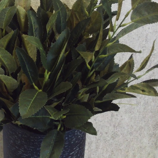 Faux Bay Leaves Plant 53cm - ROS002 U1