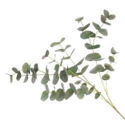 Faux Eucalyptus Stem Green 90cm - EUC030 AA1