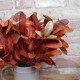 Artificial Ficus Callosa Spray Orange 35cm - FIC012 C2