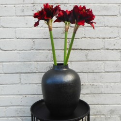 Metal Vase Graphite Grey 28cm - VS014 11C