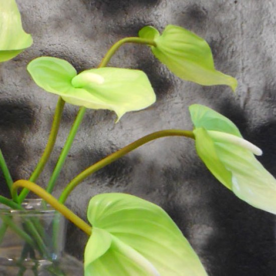 Real Touch Artificial Anthurium Lime Green 74cm - A131 Q4