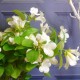 Artificial Bellflowers White 47cm - B033 B2