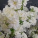 Artificial Cherry Blossom Branch Cream Flowers 77cm - B062 B1