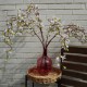 Cream Weeping Cherry Blossom Branch 118cm - C183 B1