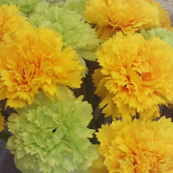 Mini Artificial Carnations Yellow 31cm - C106 C4