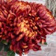 Artificial Bloom Chrysanthemum Red Orange 73cm - C015 D3
